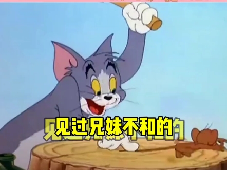 《你叫什么来着》哔哩哔哩bilibili