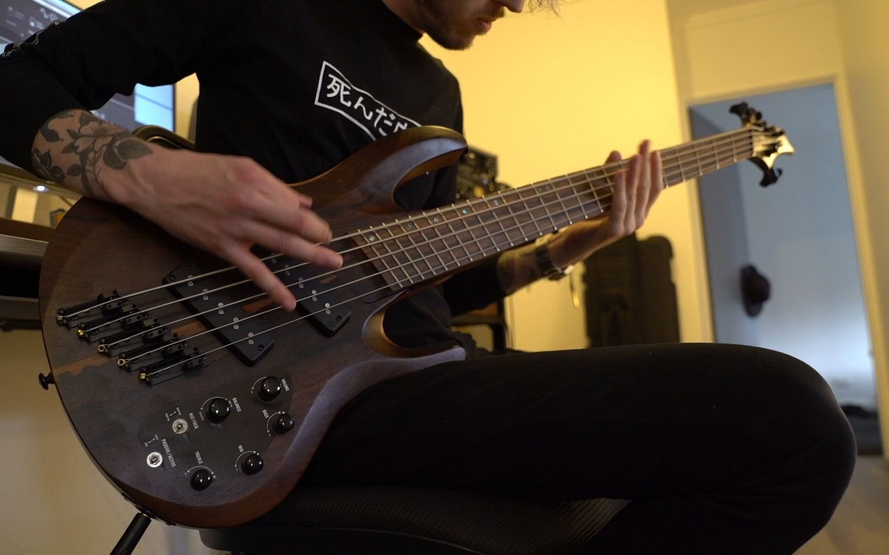 澳洲前卫金属核above,below 乐队《eternal sunshine》贝斯演奏_哔哩