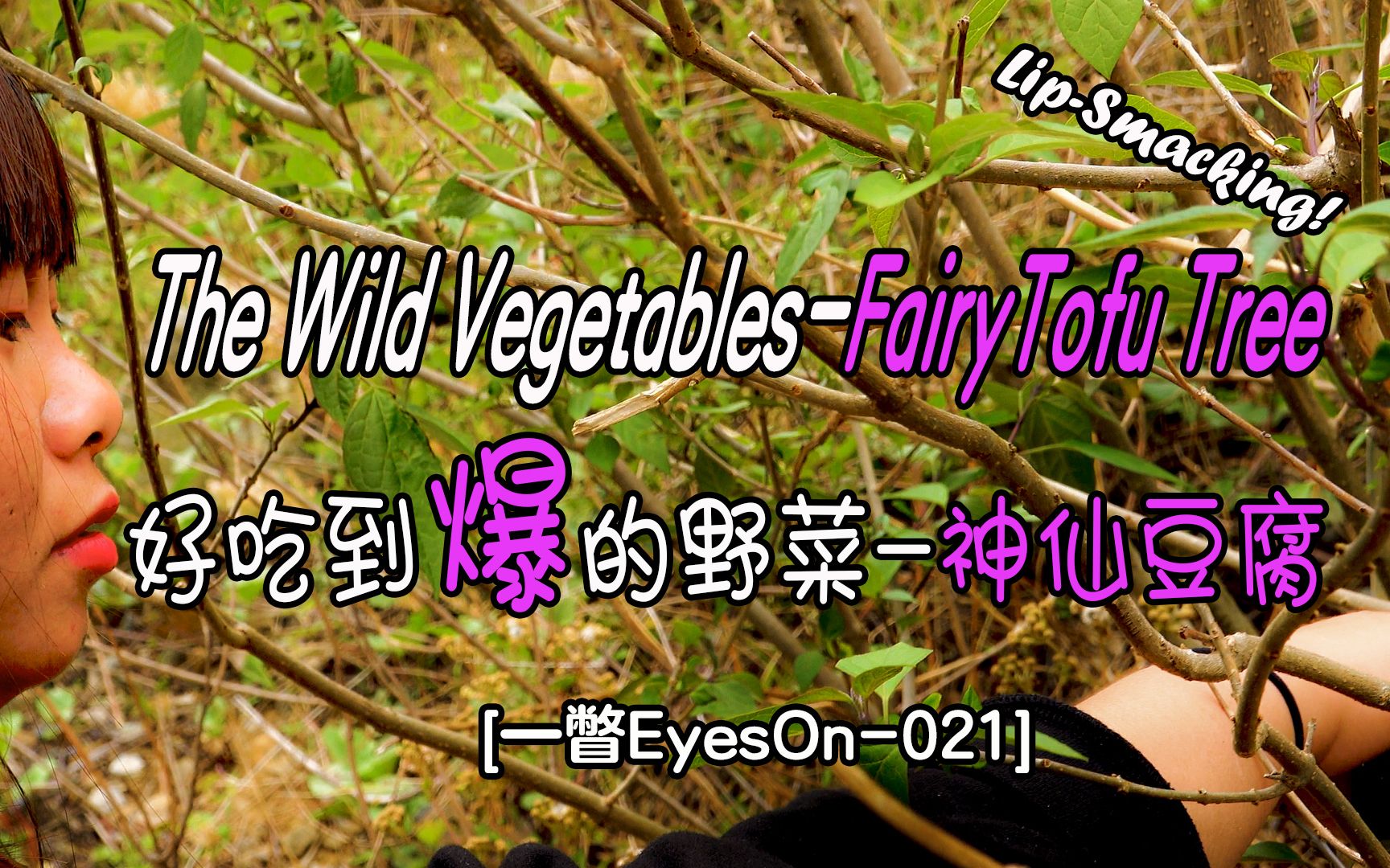 [一瞥EyesOn021]好吃到爆的野菜神仙豆腐树/The Wild VegetablesFairyTofu Tree. LipSmacking!哔哩哔哩bilibili