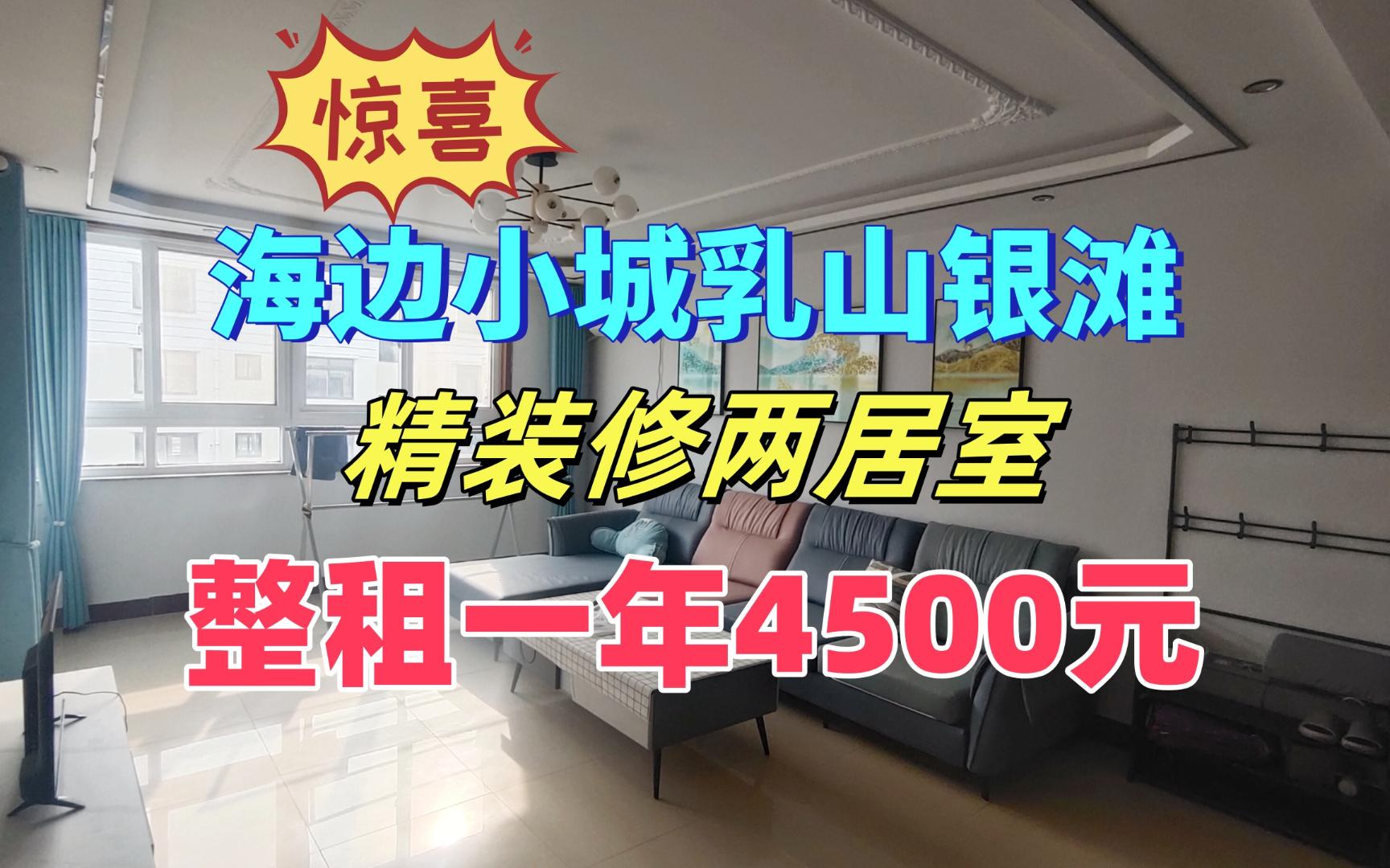 【强烈推荐】同价位装修最好的躺平出租房,精装两居室租一年4500元.哔哩哔哩bilibili