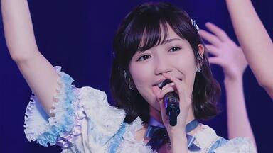 渡辺麻友（まゆゆ）で桜の花びらたち_哔哩哔哩_bilibili
