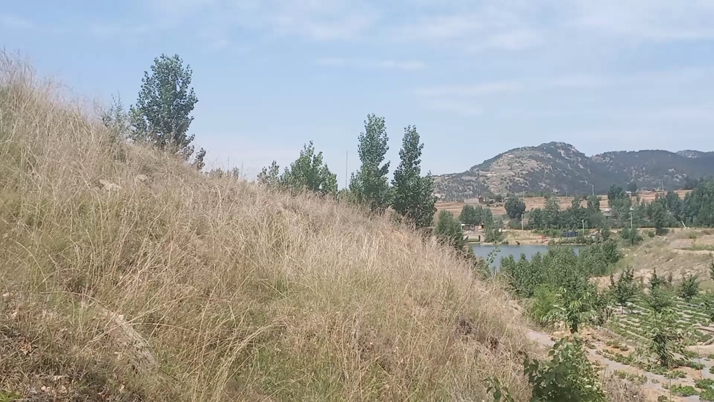 [图]六月的天空。每天都是风景。