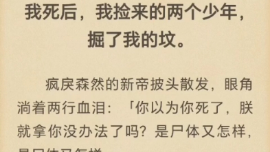 [图]（完结）我死后，我捡来的两个少年，掘了我的坟。