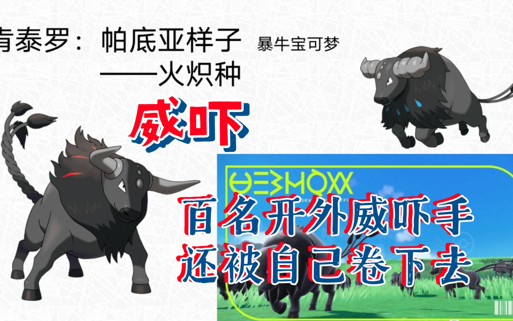 【朱紫精灵分析】肯泰罗——火炽种