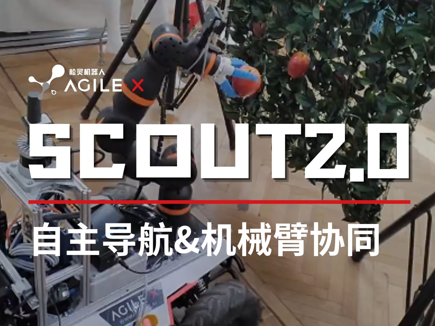 科研案例 | 来自米兰理工大学的科研案例,基于松灵机器人 SCOUT 2.0实现自主导航和机械臂协同完成采摘和放置苹果的动作哔哩哔哩bilibili