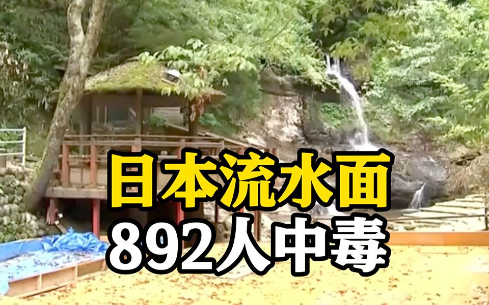 日本流水面致892人中毒 泉水中检测出弯曲杆菌哔哩哔哩bilibili