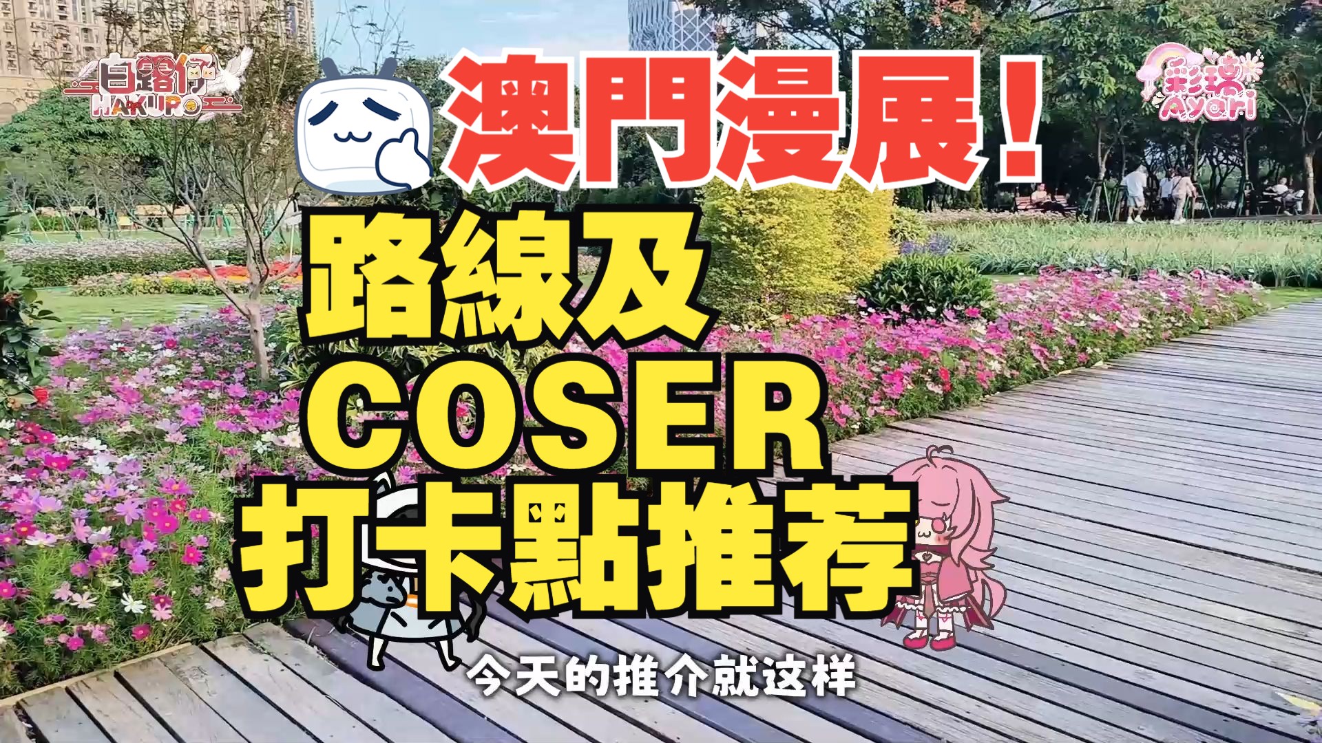 澳门威尼斯人漫展路线及COSER拍照点指南~IMAC见!哔哩哔哩bilibili