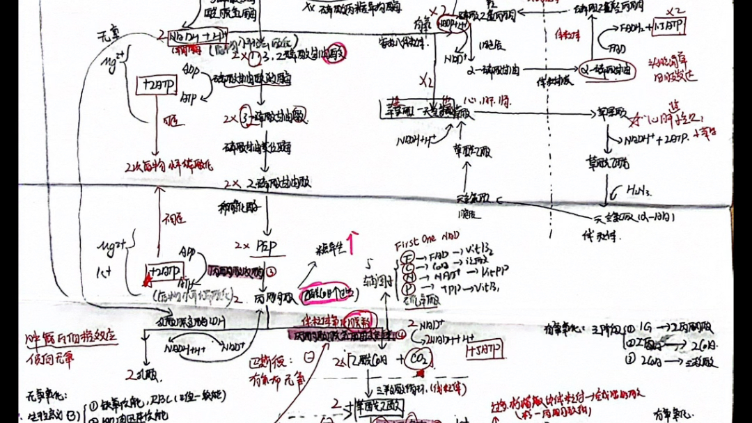 医学生化糖酵解以及有氧无氧途径,磷酸戊糖途径思维导图,简单易学,快