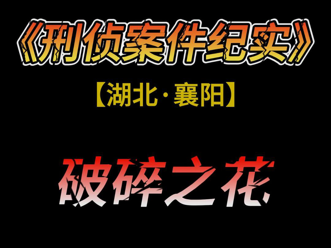 湖北襄阳:跨越17年的大案,真相究竟为何?哔哩哔哩bilibili