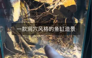 下载视频: 一款洞穴风格的鱼缸造景