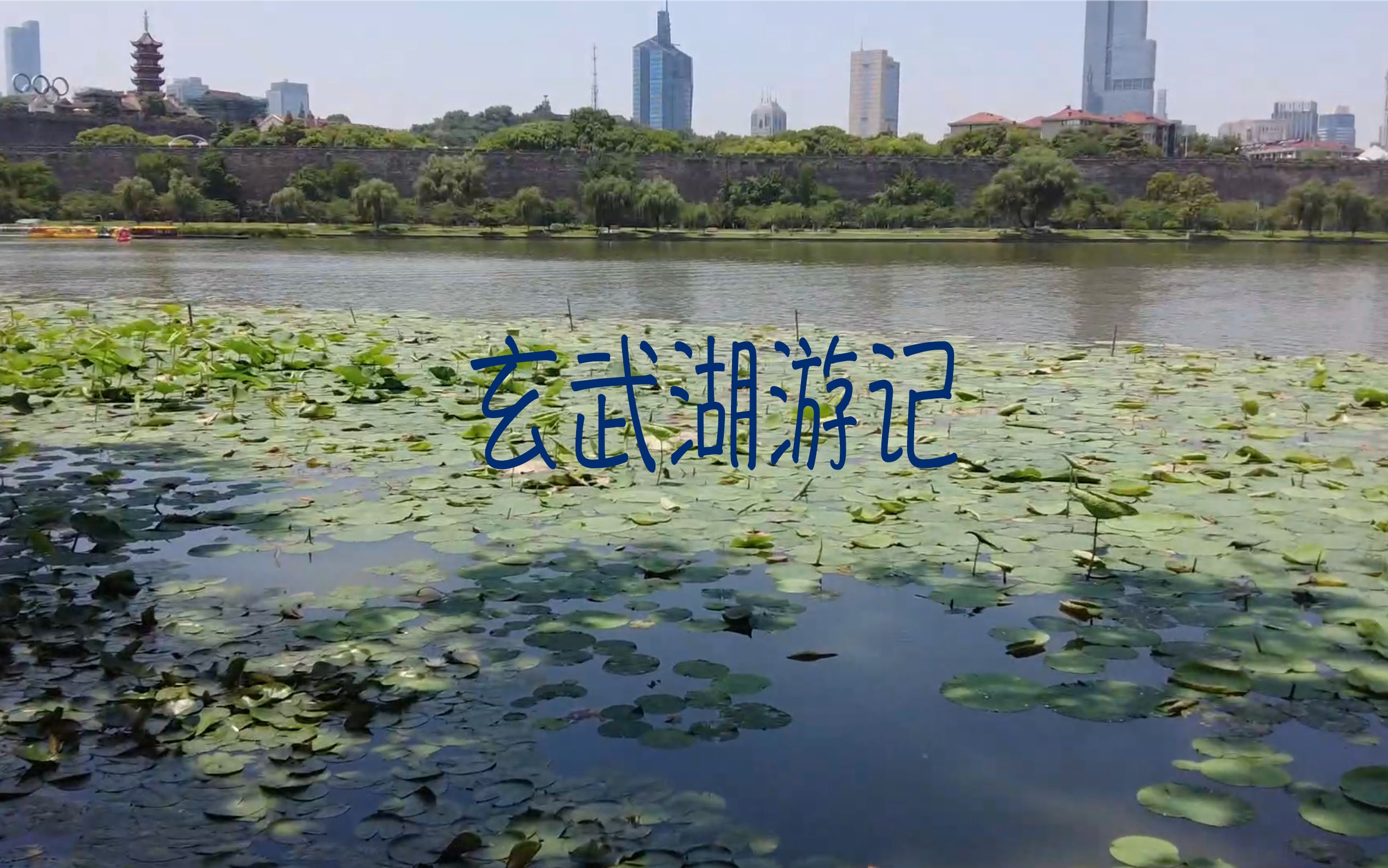 玄武湖游记哔哩哔哩bilibili