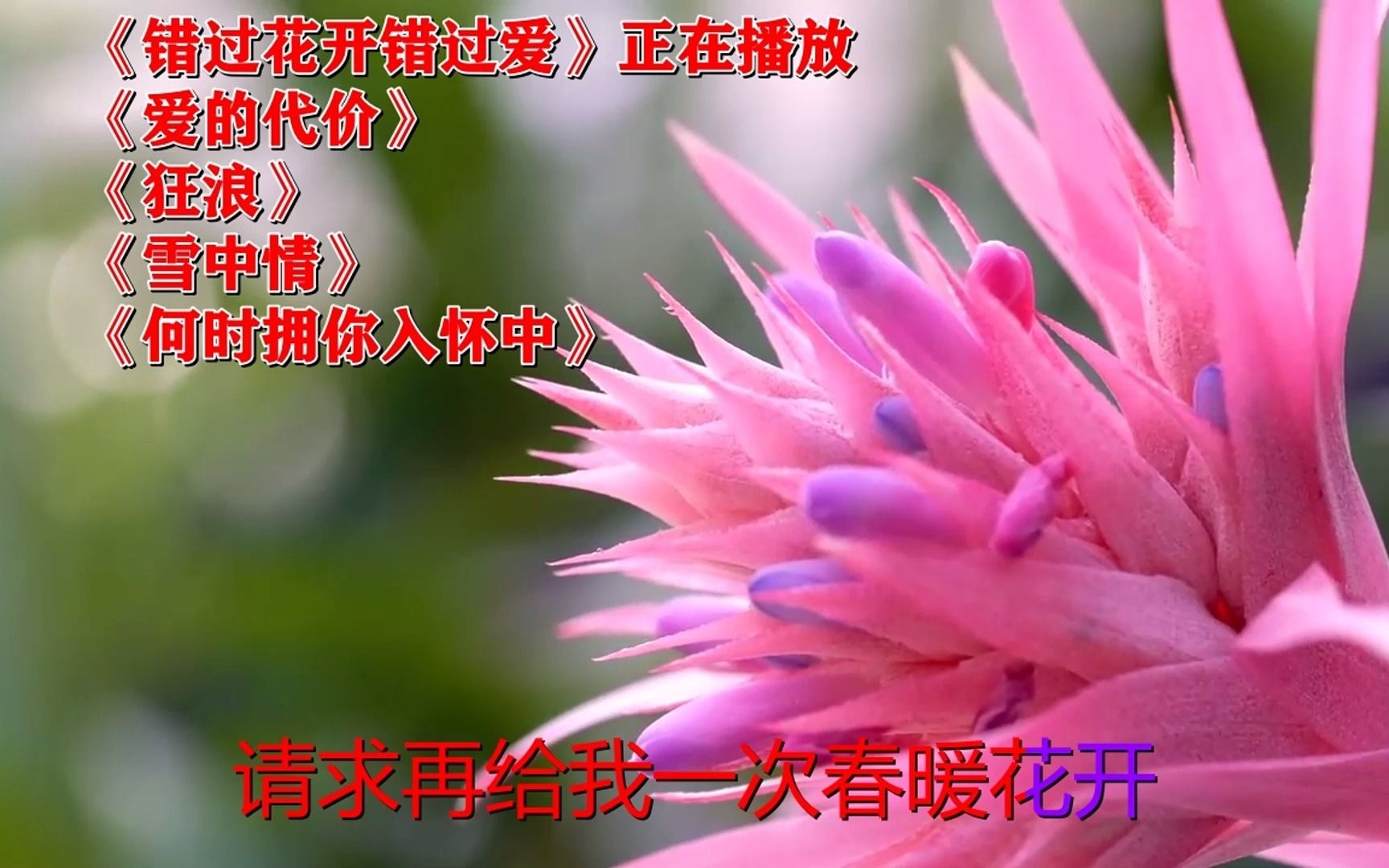 [图]《错过花开错过爱》《爱的代价》mv软件的制作方法（巨鹰软件）