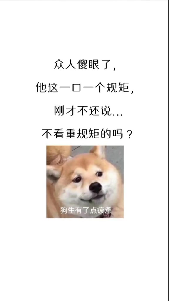 好看高甜无虐肉多的小说推荐哔哩哔哩bilibili