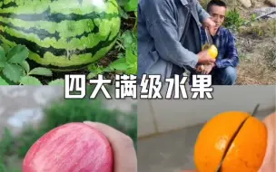 Download Video: 四大满级水果