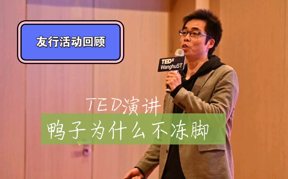 合肥友行青年社群活动回顾 TED演讲 鸭子为什么不冻脚哔哩哔哩bilibili