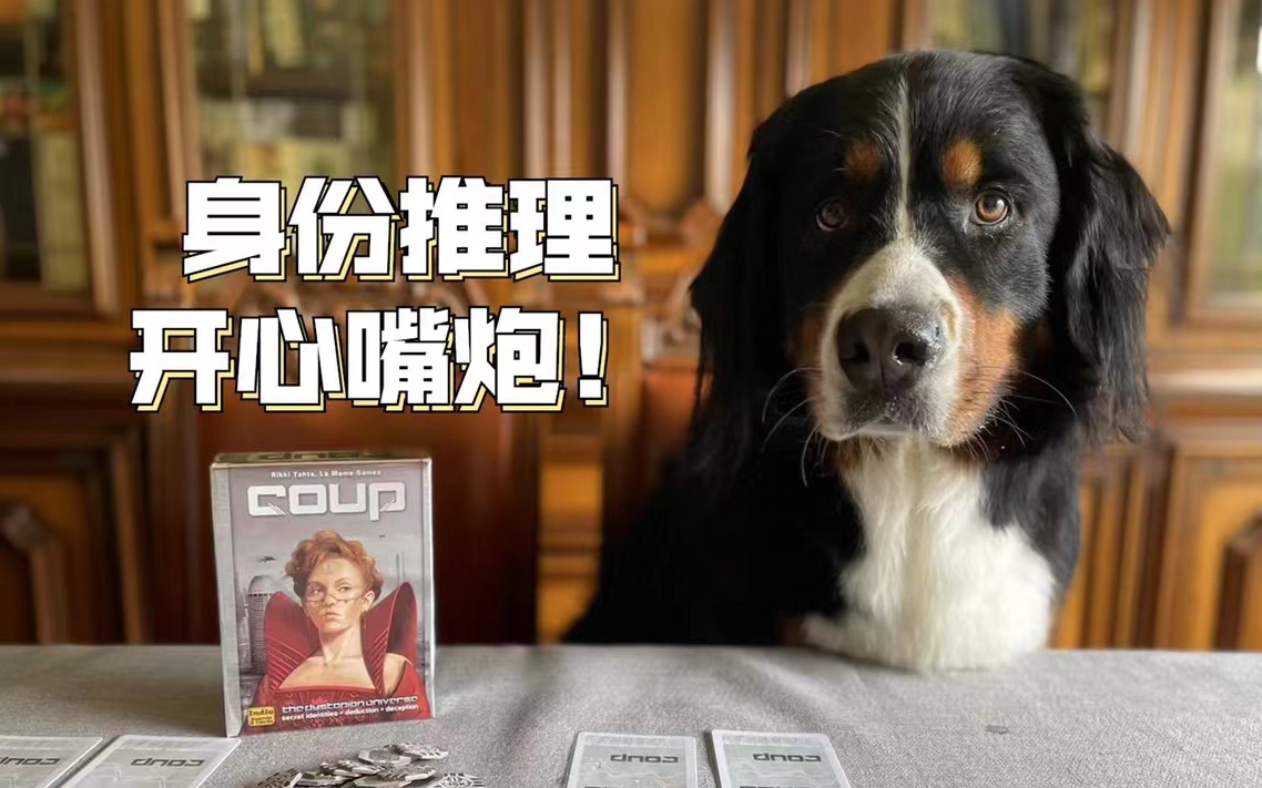 夏天桌游coup四分钟学会聚会桌游政变疑云