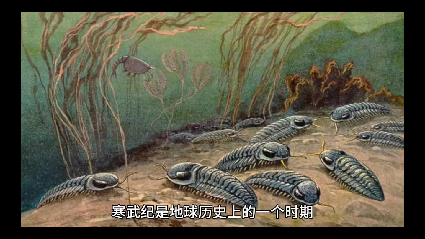 寒武纪,地质时期