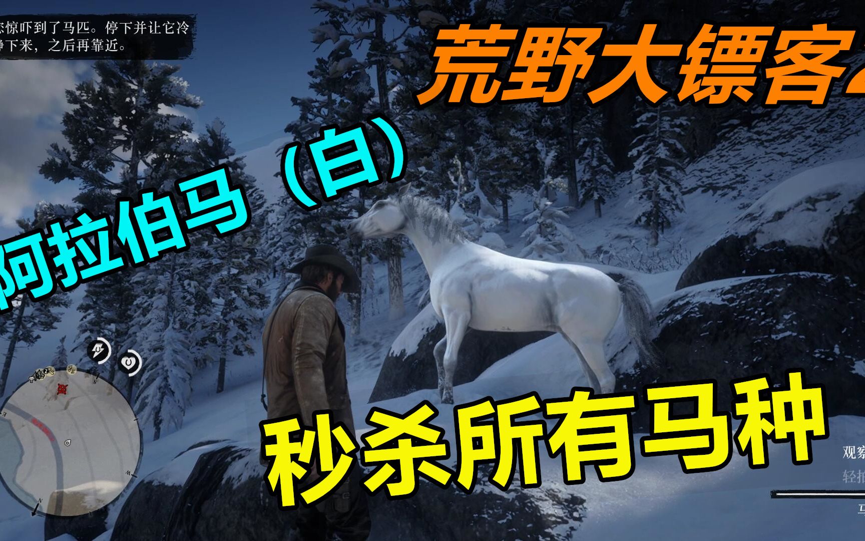 荒野大镖客2:秒杀前期所有马种的阿拉伯马怎么驯服?驯服它只要10秒钟哔哩哔哩bilibili