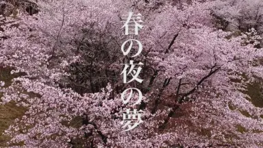 春の夜に-哔哩哔哩_Bilibili