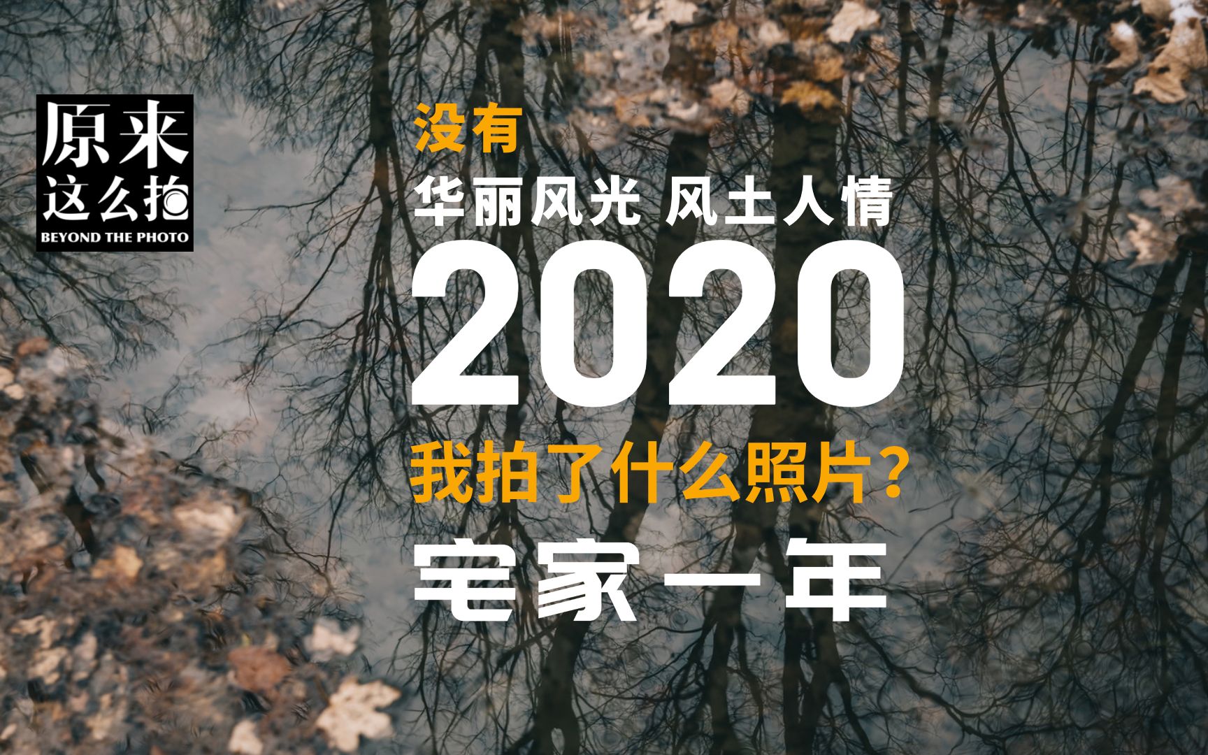 很不精彩的2020我拍了什么照片?|原来这么拍 214集哔哩哔哩bilibili