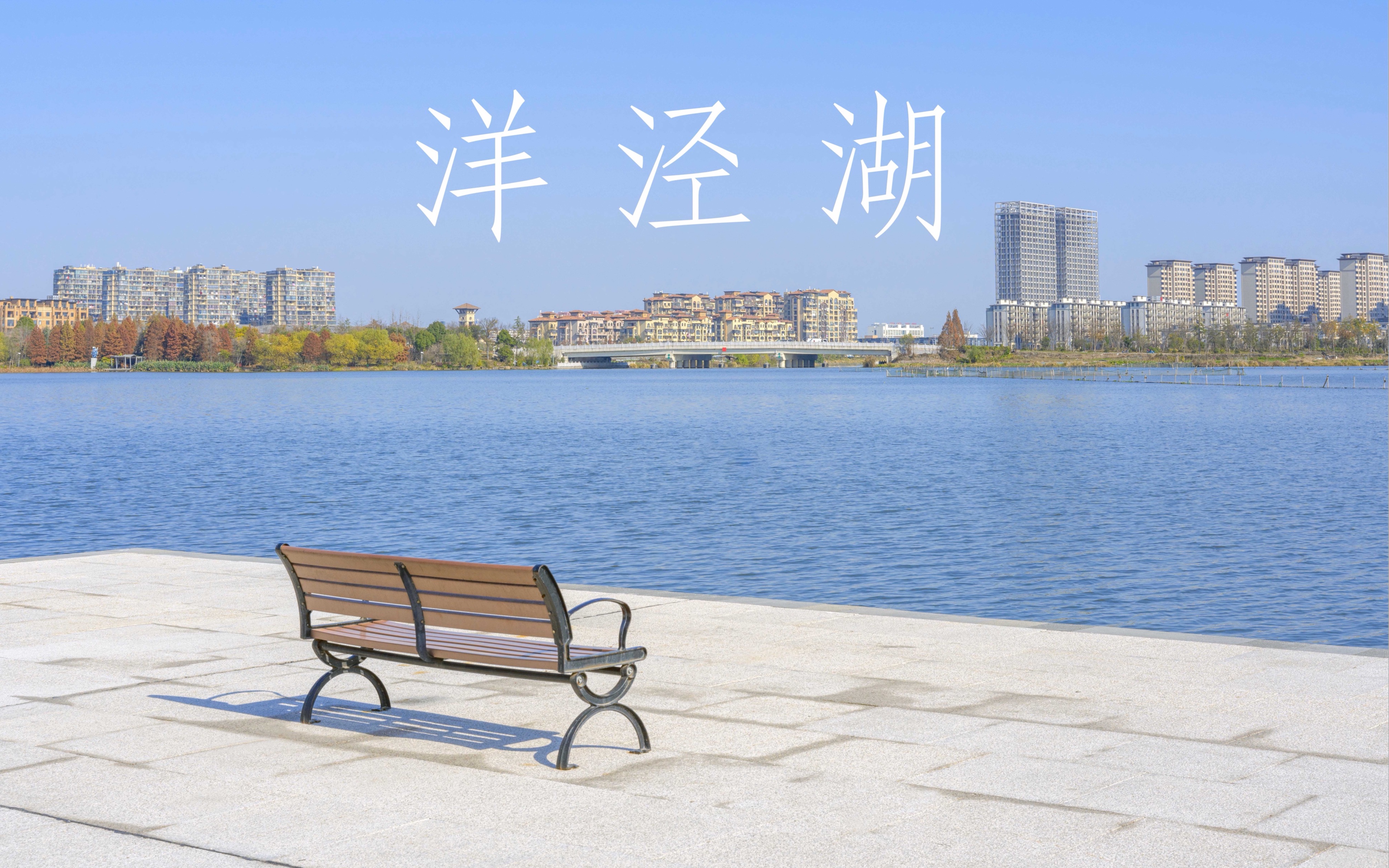 绍兴洋泾湖公园图片图片