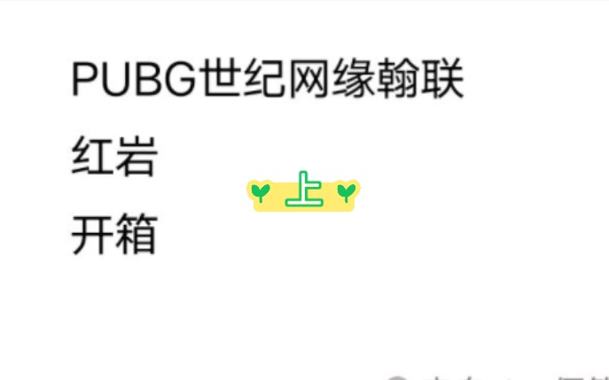 [图]PUBG世纪网缘&红岩开箱，精神状态正常