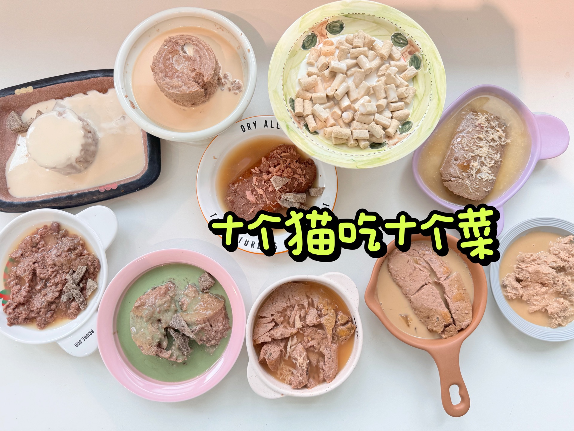 十只猫吃十个菜 也是讲究上了这一桌席可把我累坏了(叉腰)你们爱看