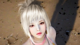 最速黑色沙漠美服中文