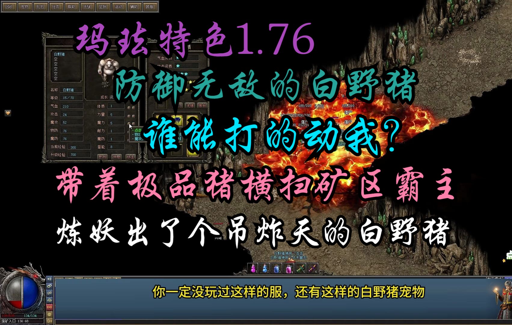 [图]热血传奇：玛法特色1.76炼妖出了个5技能宠物白野猪，防御无敌谁能打的动我？带着小白横扫矿区霸主