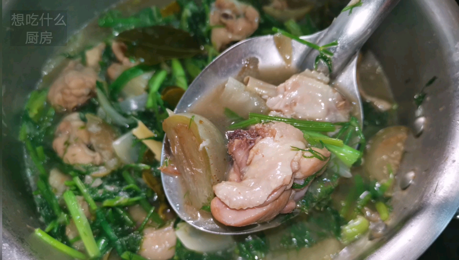 老挝家常菜茴香炖鸡块 | Lao stewed chicken with dill哔哩哔哩bilibili