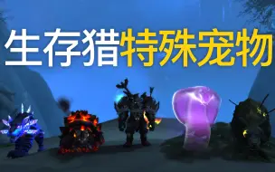 Tải video: 《WOW魔兽世界》生存猎特别宠物推荐，魔影豹、芬雷尔、泰罗佩内、达姆巴拉之影。