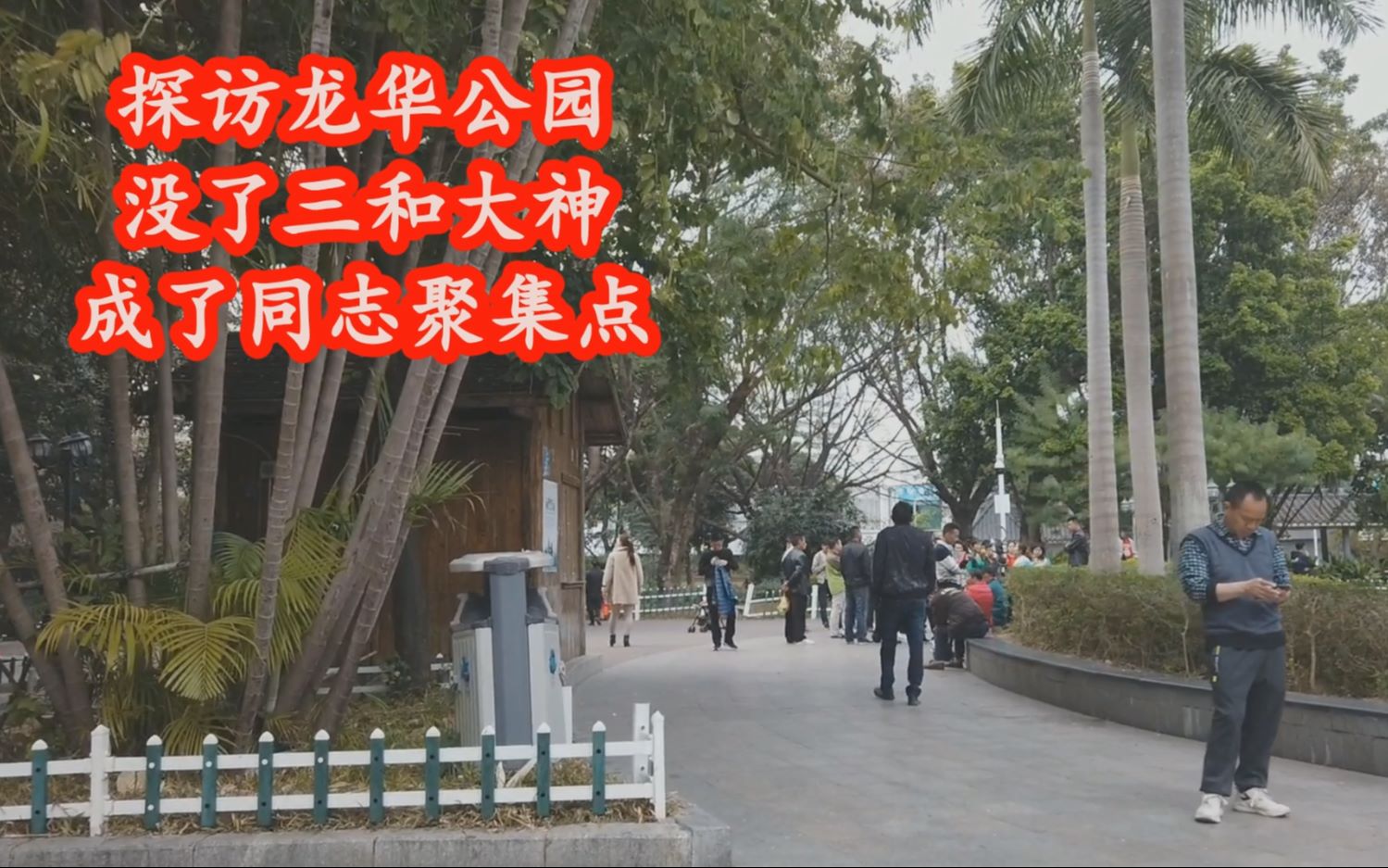 三和大神龙华公园图片