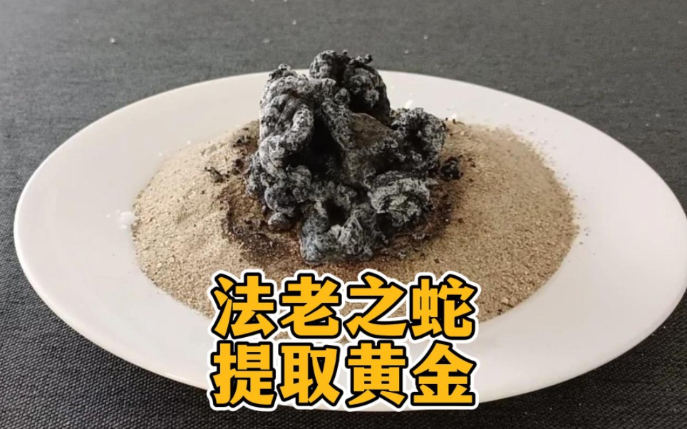 法老之蛇加牛奶会变成黄金?真的假的?