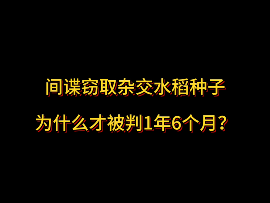 间谍窃取杂交水稻种子为什么才被判1年6个月?哔哩哔哩bilibili