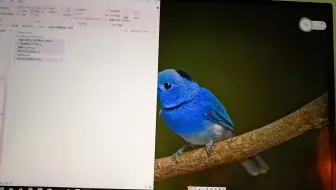 3ds Rom处理 在电脑上解密 Cia格式的游戏 哔哩哔哩 Bilibili