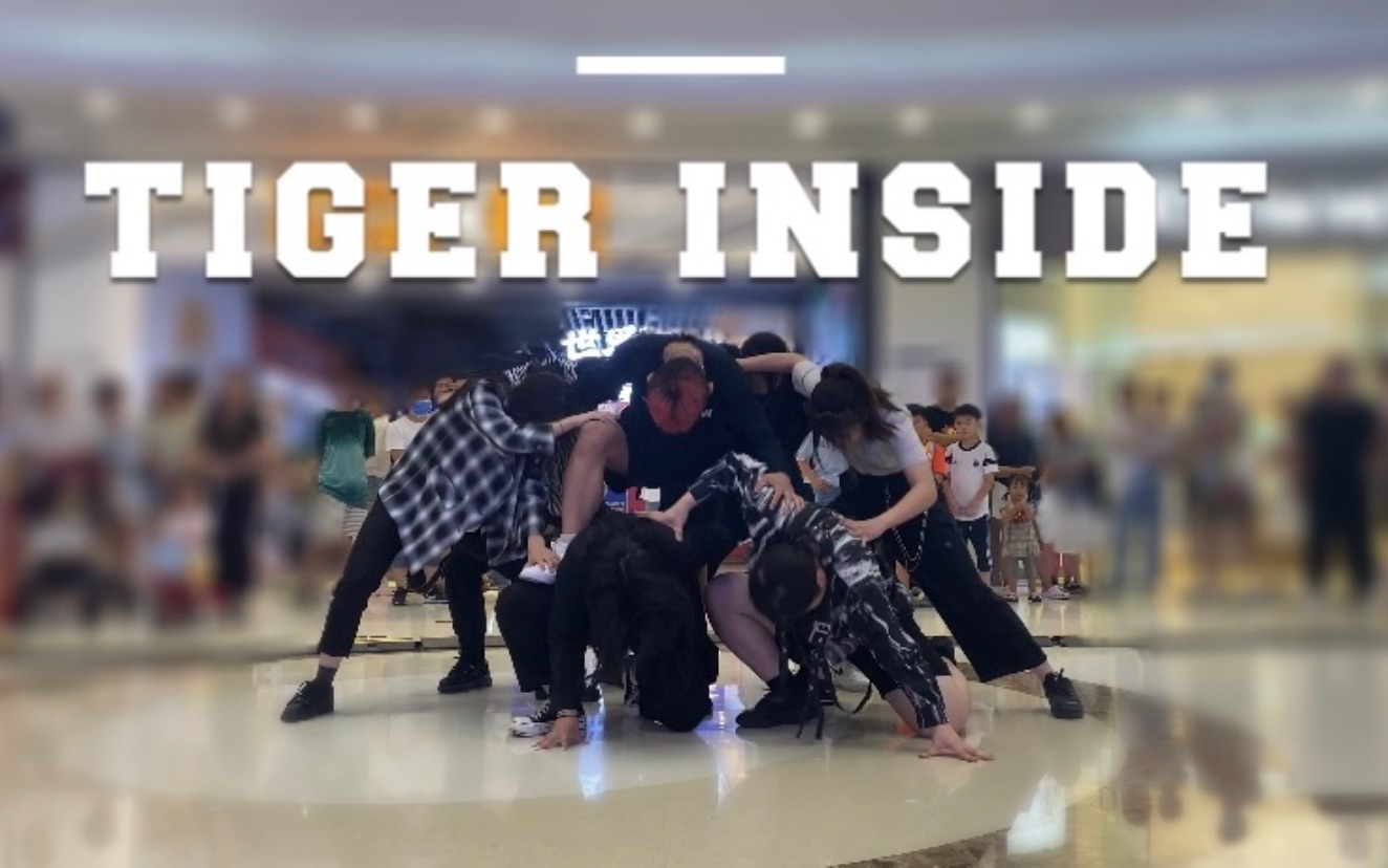 [图]【路演】Tiger Inside超猛来袭