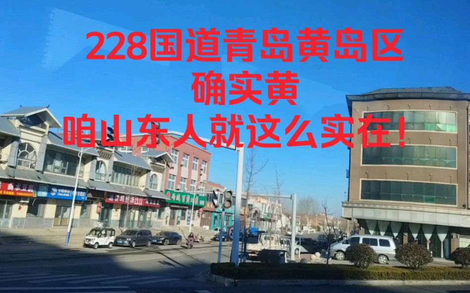 228国道青岛黄岛区,确实黄,咱山东人就这么实在!哔哩哔哩bilibili