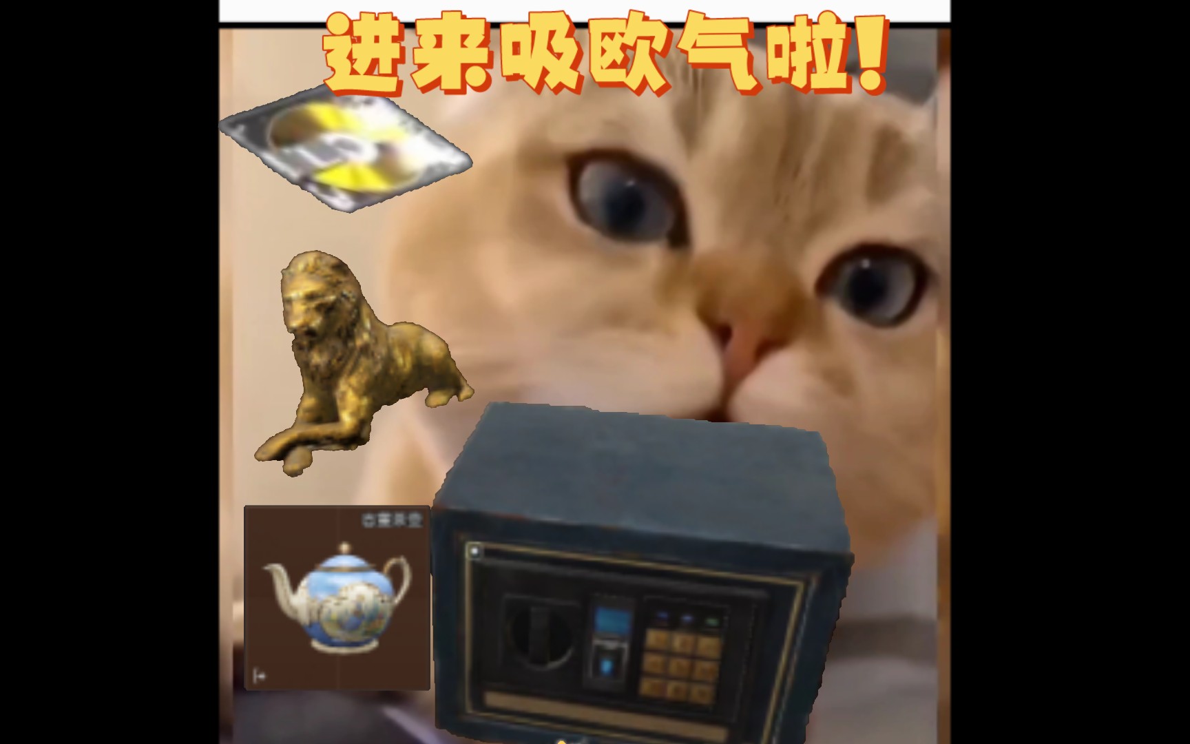 猫猫开保险从来不会空手而归!《暗区突围》