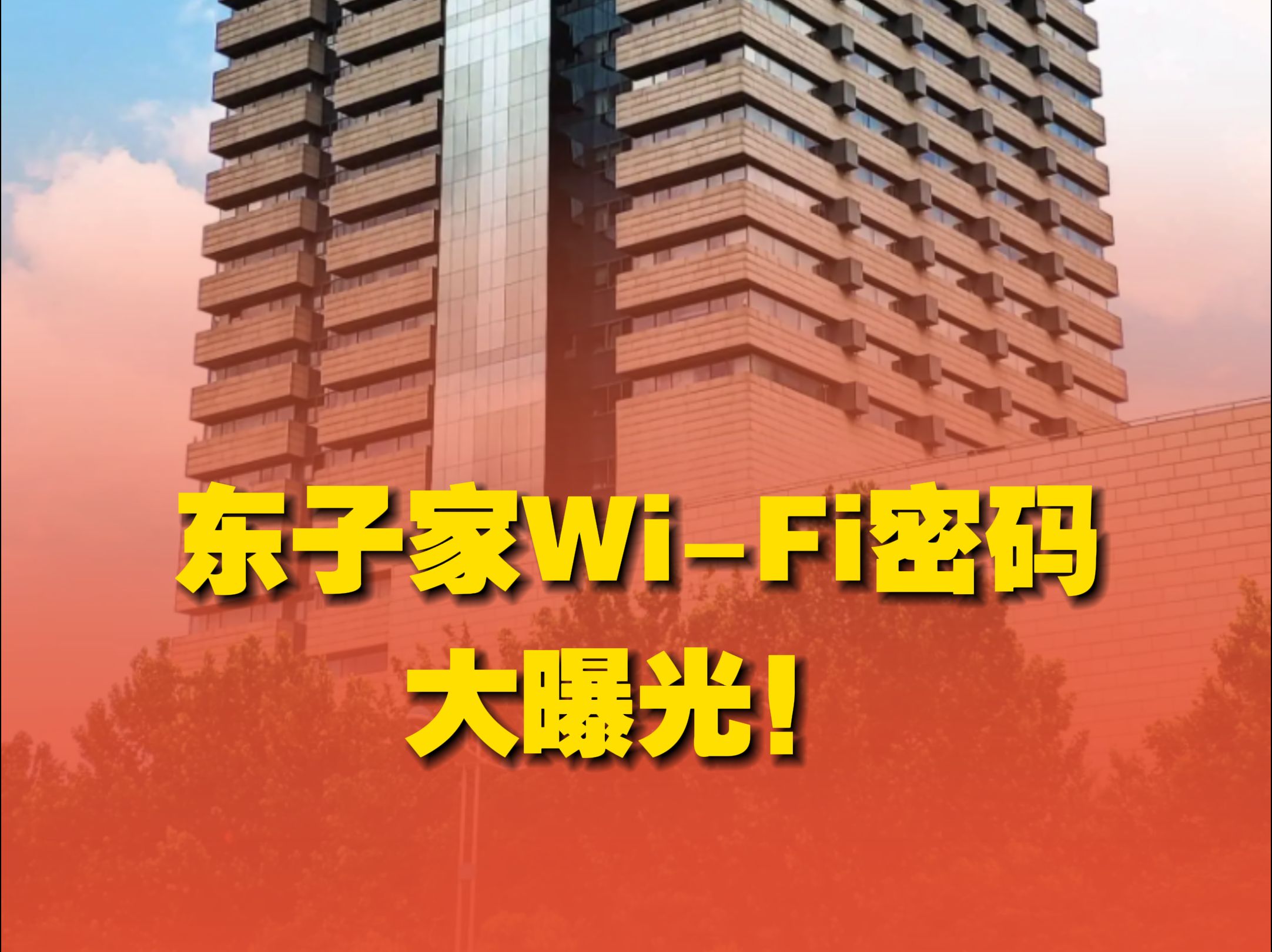 东子办公室WiFi密码大揭密!哔哩哔哩bilibili