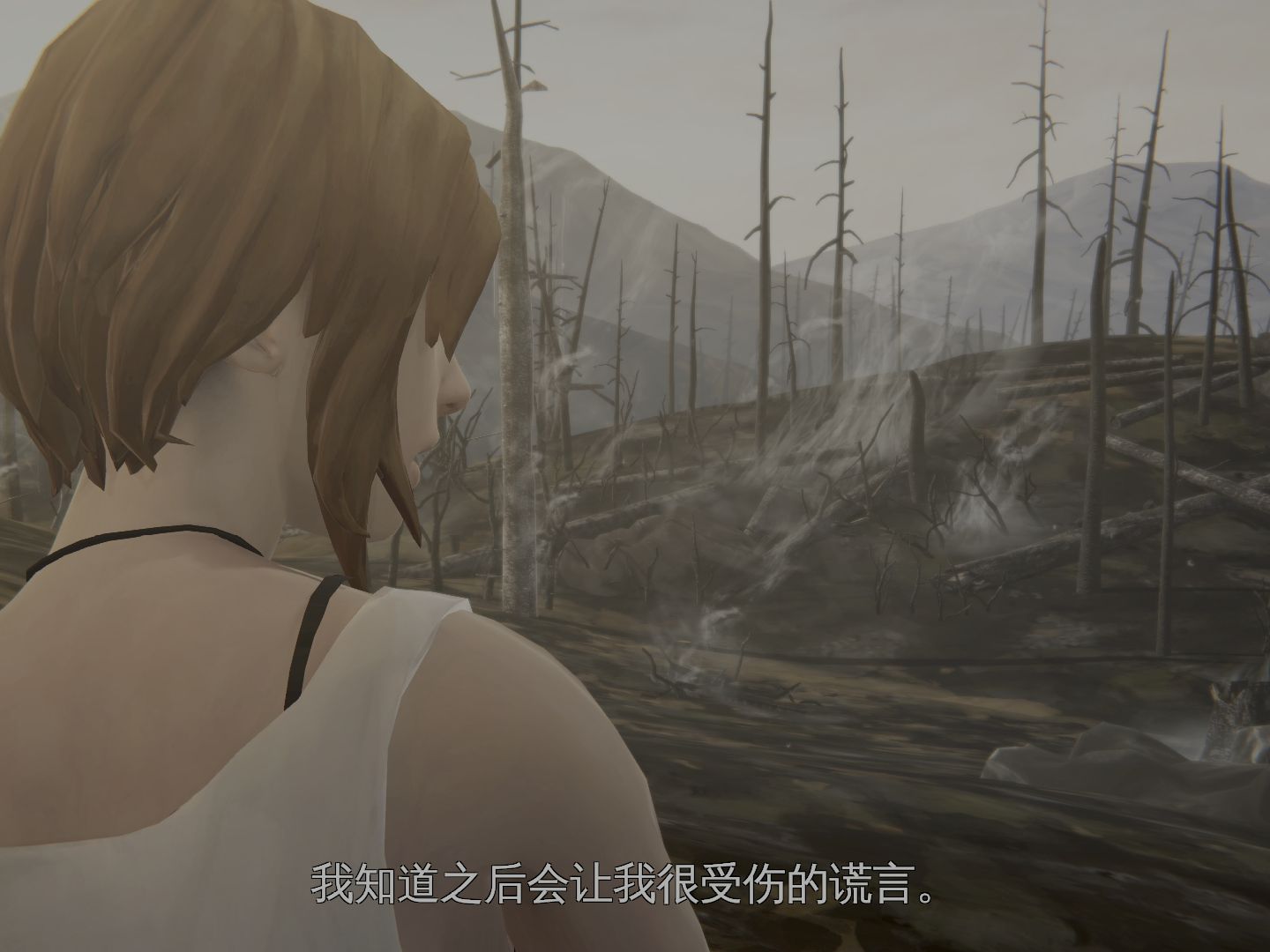 【奇异人生:风暴前夕】全流程怀旧解说 第二十期:穿越森林焦土的最后