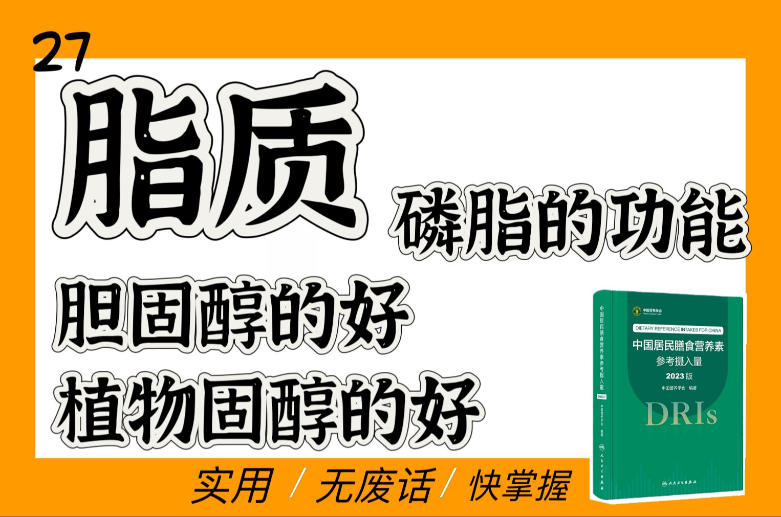 磷脂、植物固醇,类固醇激素靠什么合成哔哩哔哩bilibili