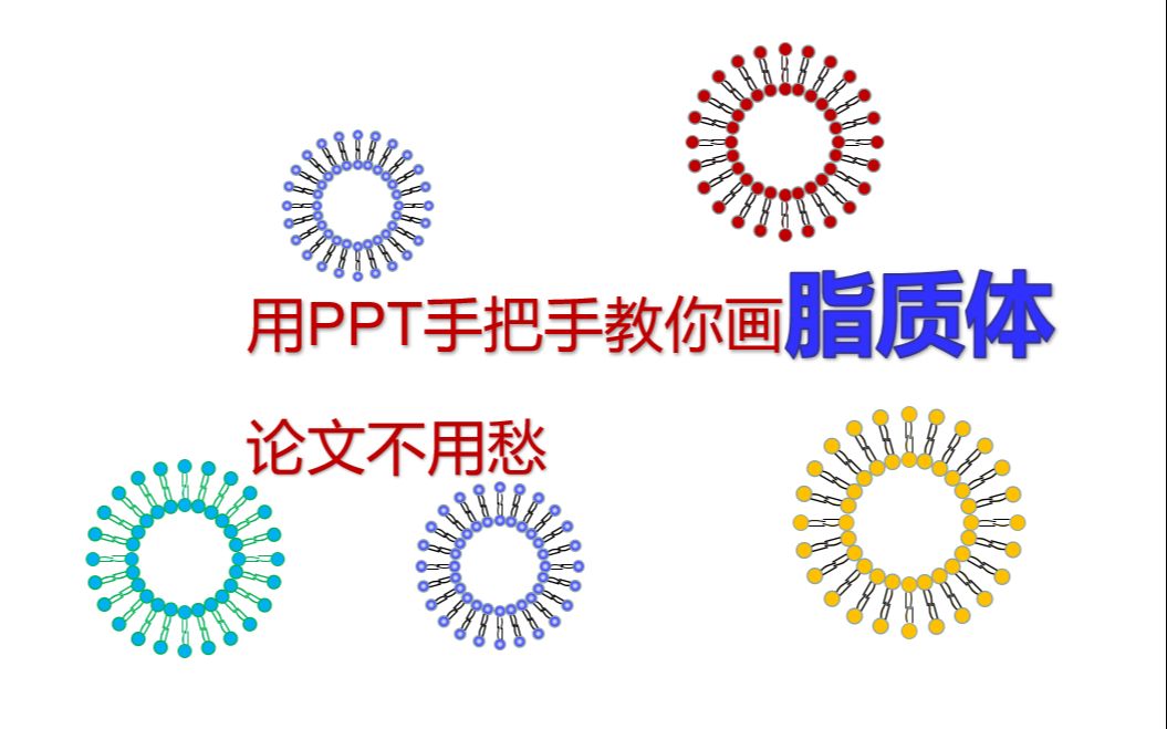 【科研论文之PPT】手把手教你用PPT快速画单层脂质体哔哩哔哩bilibili