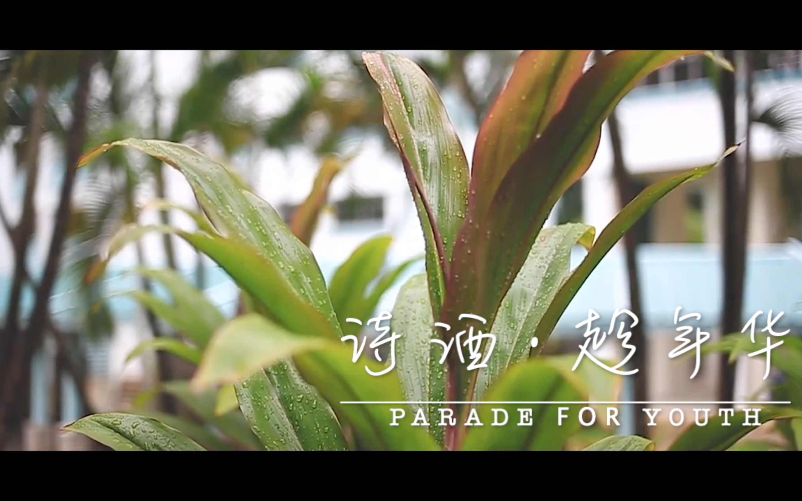 玉溪一中2019高考加油视频诗酒趁年华