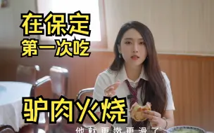 Télécharger la video: 第一次吃驴肉火烧，