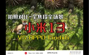 Descargar video: 小米13拍照对比OPPO Findx6标准版 全焦段全场景对比