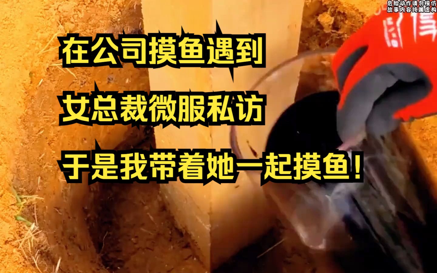 [图]【小说】在公司摸鱼遇到女总裁微服私访，于是我带着她一起摸鱼！