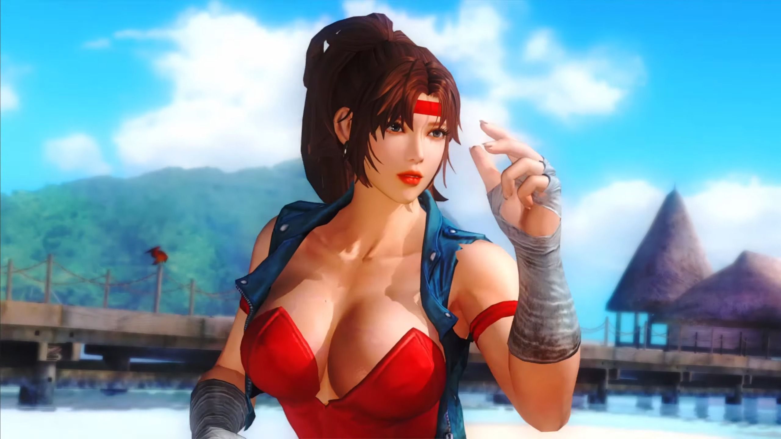 doa5lr