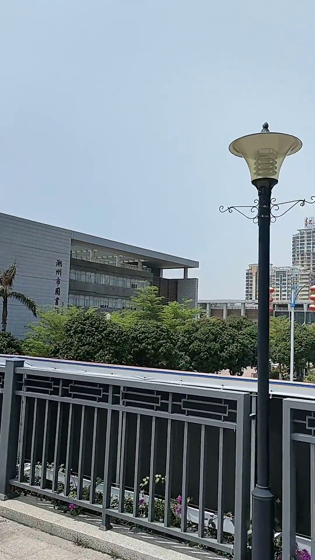 天气太热了宝宝们外出多多喝水城市风景一角40度的高温天气