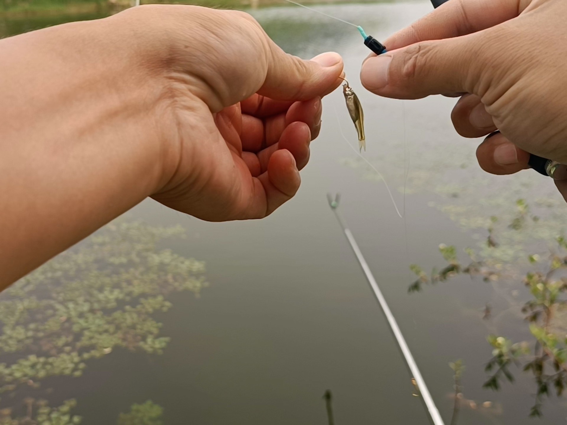 钓大鱼你们行,钓种小鱼你们行吗
