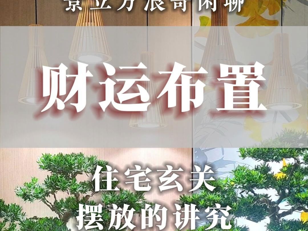 分析一下,住宅玄关位置摆放植物的讲究.哔哩哔哩bilibili